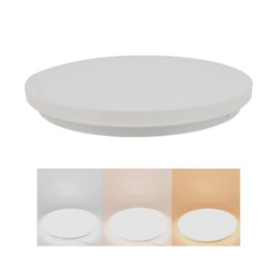 Ceiling Light