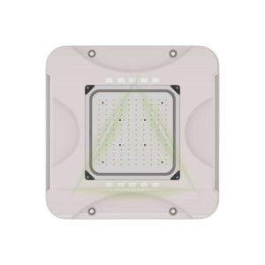 150W LED Canopy light