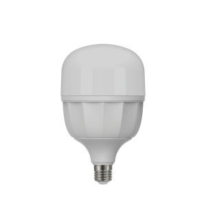 50W LED Heavy Duty E27 Bulb
