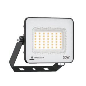 This is a picture of a 30w LED Flood Light