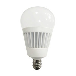 led globe 15w (non dim) (copy)