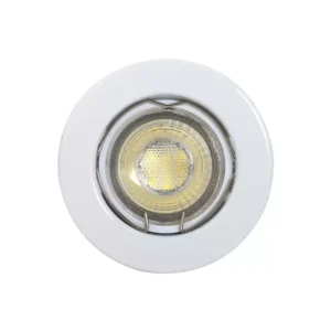 dl116/schr tilt [adjustable] twist lock downlight (copy)