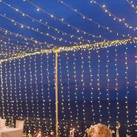 10M Fairy Lights LED (Electricity)